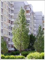 аренда квартир в Тольятти